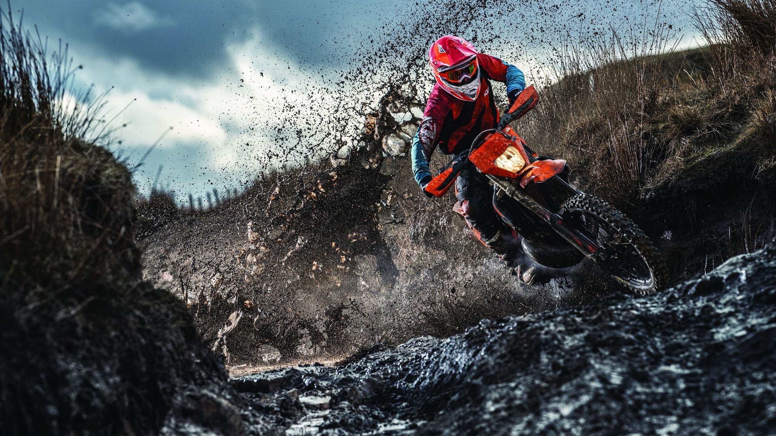 灰熊铁蹄踏破广厦,杰伦·格林全能风暴席卷赛场