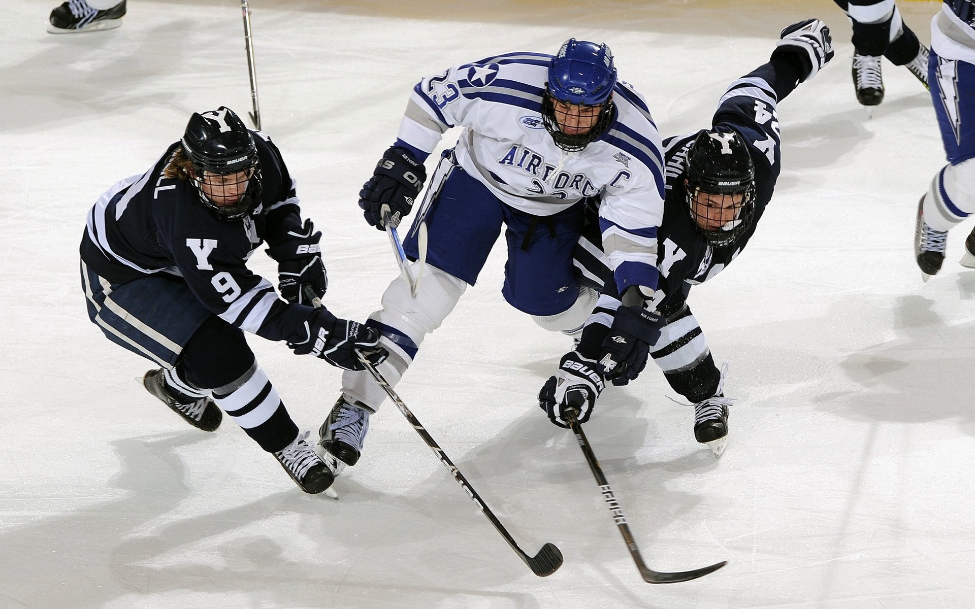 北境孤星,当拉文在猛龙与国王的寂静战场亮出獠牙