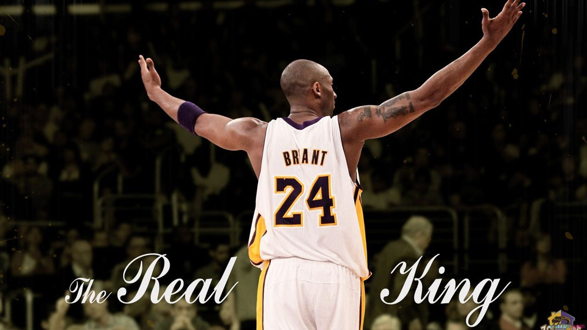 双重终结，辽宁铁血封王与班凯罗的世界杯宣言